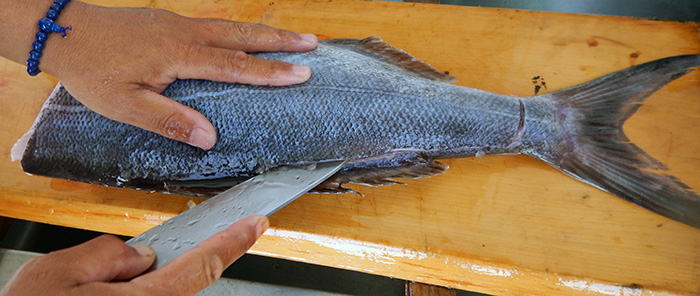 メダイさばき方