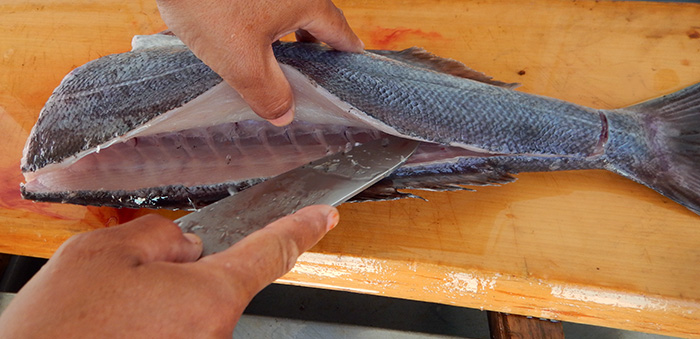 メダイのさばき方