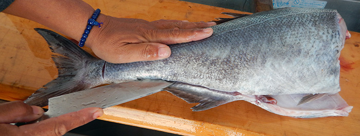 メダイのさばき方