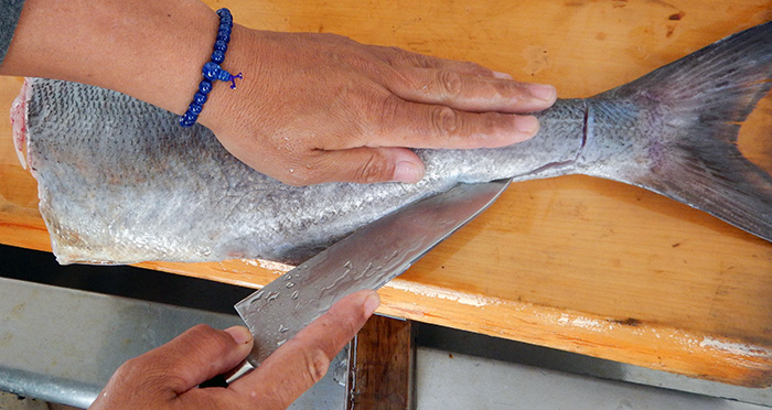 メダイのさばき方