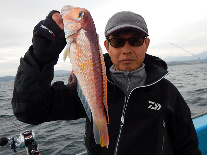 【3月21日】ライトマルイカ探索船は惨敗でした。期待してご乗船くださったみなさんには感謝いたします。