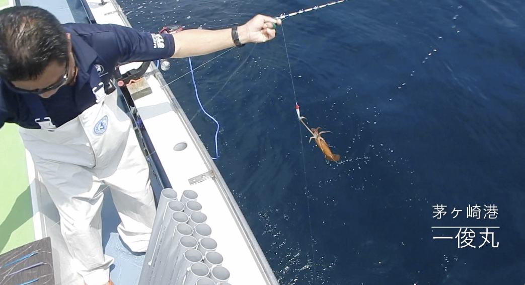 直結仕掛けでのスルメイカ取り込み方法