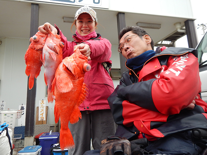 【速報】前半波高く苦戦ながら今日もアコウ浮上！　カサゴのトップは連日50尾オーバー！