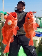 アコウ