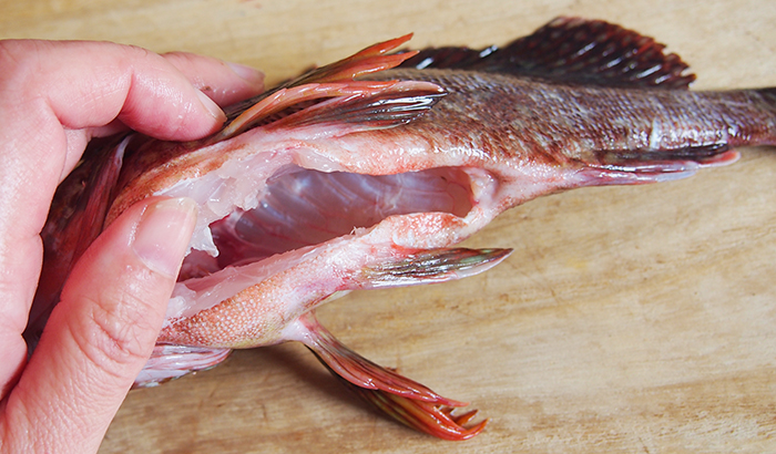 カサゴの腹を洗う