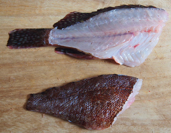 カサゴ　2まいおろし