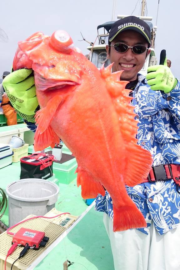 【速報】4日はシケ予報のためお休みします。5日は【スポット】ヒラメ・コチ専門船出船