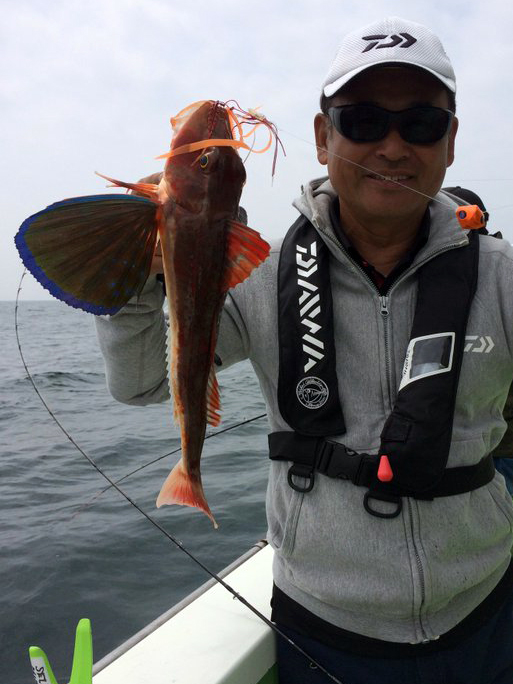 【速報】行程15分でスルメイカ爆釣。ついに出た一束釣果！