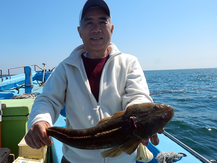【速報】キス・コチ・ヒラメ船で連日ハモノをキャッチ！明日は快晴べたナギ、釣り日和。
