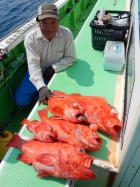 アコウ