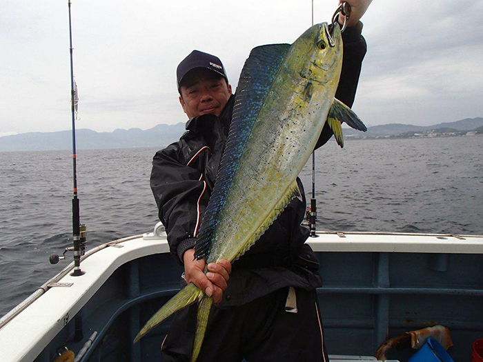 【6月5日】雨陽気でも熱い船上。スルメ、ヒラメ、キス、シイラ。どの船もいい結果が出ました！