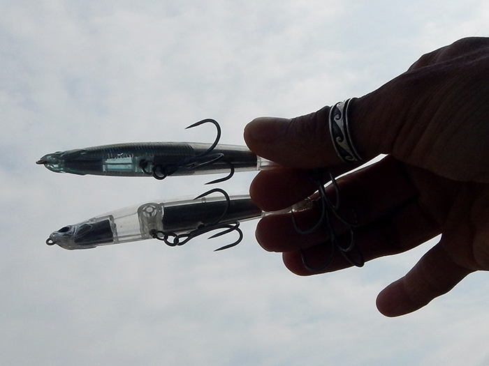 【7月12日】ライトヒラメ五目船、レコード更新4.1キロ! アンリパの石井さん解説。キメジ&カツオのシラスパターン攻略法書きました