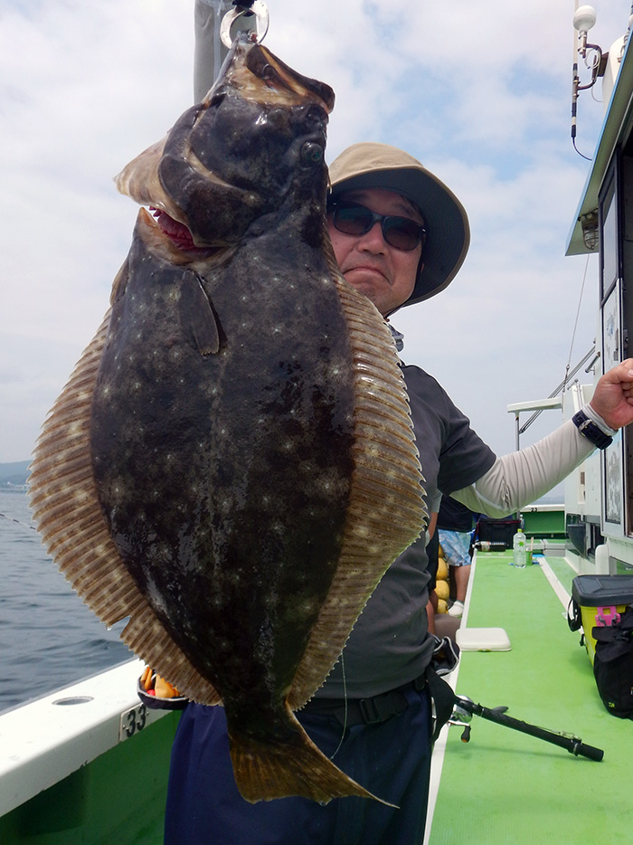 【7月16日】ライトヒラメ船、良型怒涛の食い。5流し連続キャッチも!