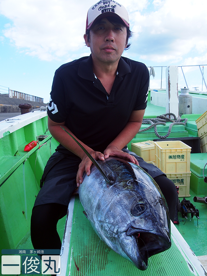 【重要】明日のライブベイト船は休船となり、コマセキハダ船が2隻出船します。