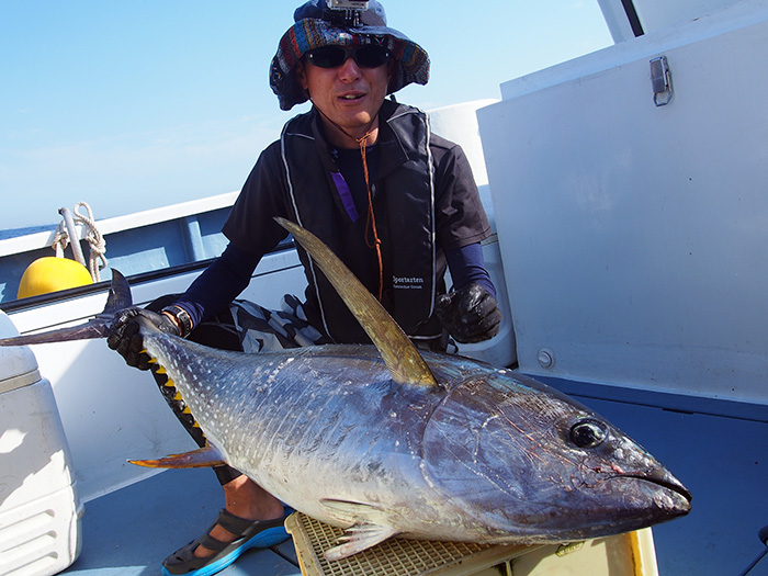 【9月1日】シケのせいかキハダ、カツオの新群れ多数流入！　ライト五目船は、イサキ、アジ、カマスどれも入れ食い！