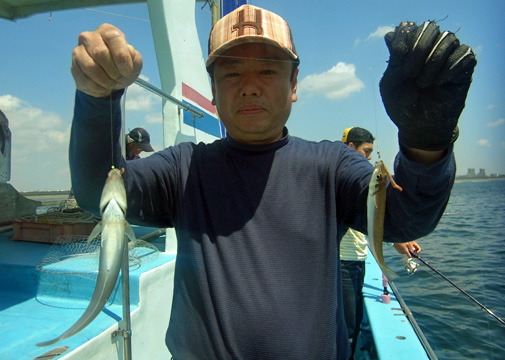【5月2日】瀬の海のライトビシアジ大復活、金アジがトップ70尾！