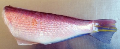 アマダイのお造り