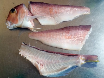 アマダイのお造り