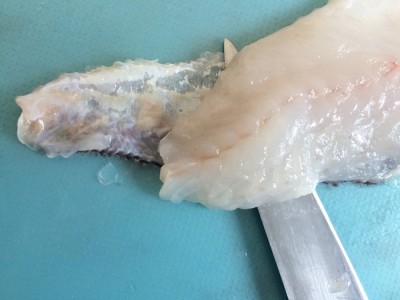 アマダイのお造り